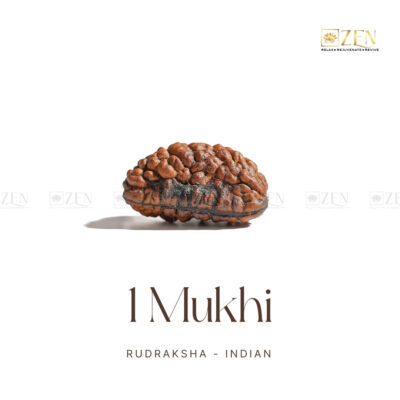 1 Mukhi Rudraksha (Himalayan)